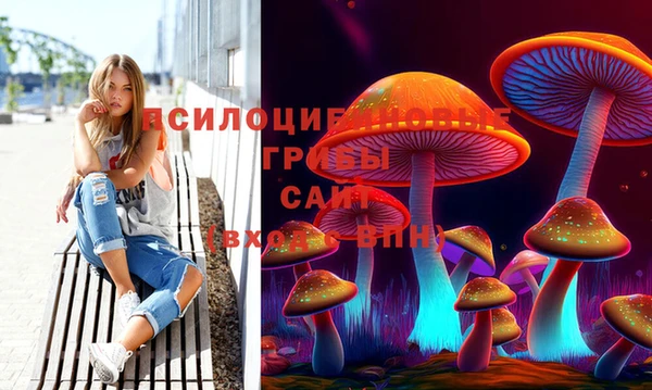 трава Балахна